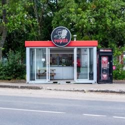 Todžė kebabai