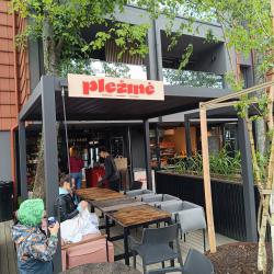 Pležinė